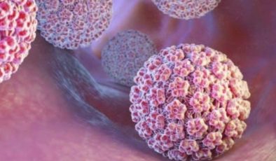 HPV aşısı, kişiyi HPV virüsünün neden olduğu hastalıklardan korur