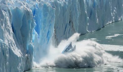 Bilim insanlarından korkutan açıklama: Güveler Antarktika’ya ulaştı!