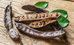 Her derde deva: İşte Keçiboynuzunun 6 mucizevi faydası…