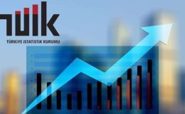 TÜİK eski Başkanı Birol Aydemir’den çarpıcı açıklama! ‘Hepsi yargılanmalı Mehmet Şimşek göz yumuyor’