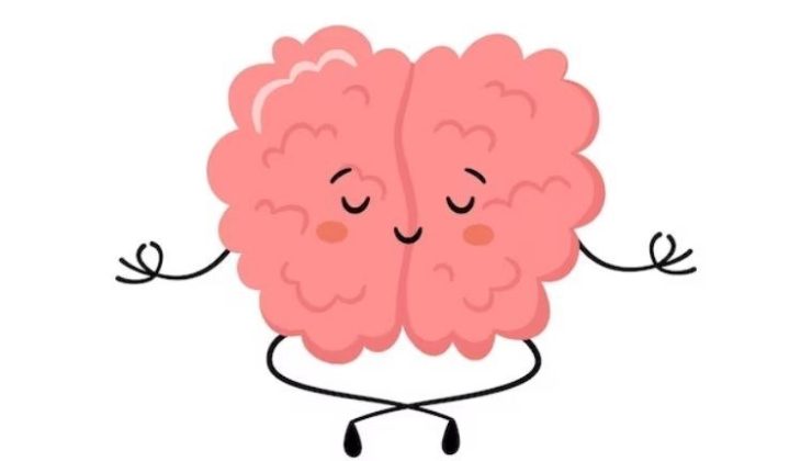 Dingin bir zihin için besin önerileri: Tüketeceğiniz gıdalar ile beyninizi sakinleştirin…