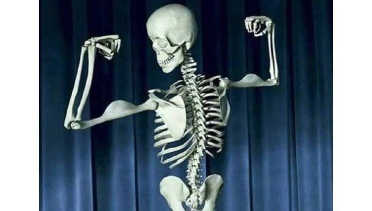 Kalsiyum deposu mucizevi besin: Kemikleri çelik gibi yapıyor, duruşu destekliyor…