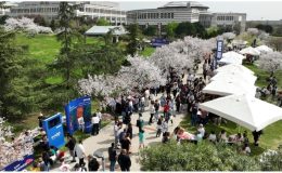 Sabancı Üniversitesi’nde Sakura Festivali ile Japon rüzgârı