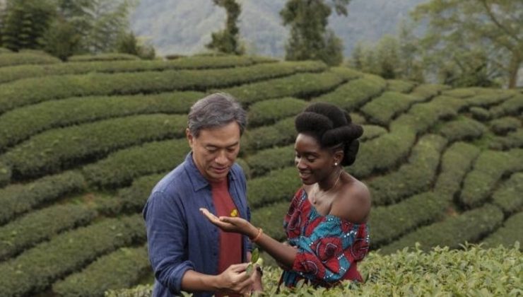 Abderrahmane Sissako’nun Siyah Çay ve Luca Guadagnino’nun Rekabet filmleri vizyonda: Daha iyi bir Dünya’ya doğru
