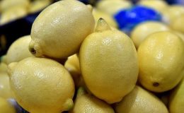 Limonlar Bulgaristan tarafından geri çevrilmişti…. Üretici ve ihracatçı firmalar hakkında soruşturma
