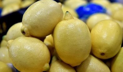 Limonlar Bulgaristan tarafından geri çevrilmişti…. Üretici ve ihracatçı firmalar hakkında soruşturma