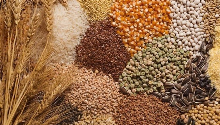 Bakanlık duyurdu… 2024 hububat alım fiyatları belli oldu