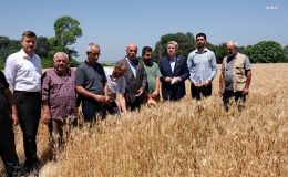 Çiftçi isyan etti: ‘Çalışmayanlar bizden daha rahat’