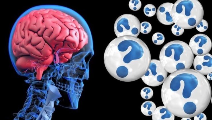 İnsan beyni neden zamanla küçülüyor, zekamıza ne oluyor?