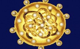 Dünya Hepatit Günü: Hepatitten nasıl korunabiliriz?