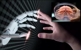 İnsan beynine sahip dünyanın ilk robotu için önemli adım