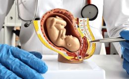 Yapay plasenta: Prematüre bebekler için kurtarıcı mı?