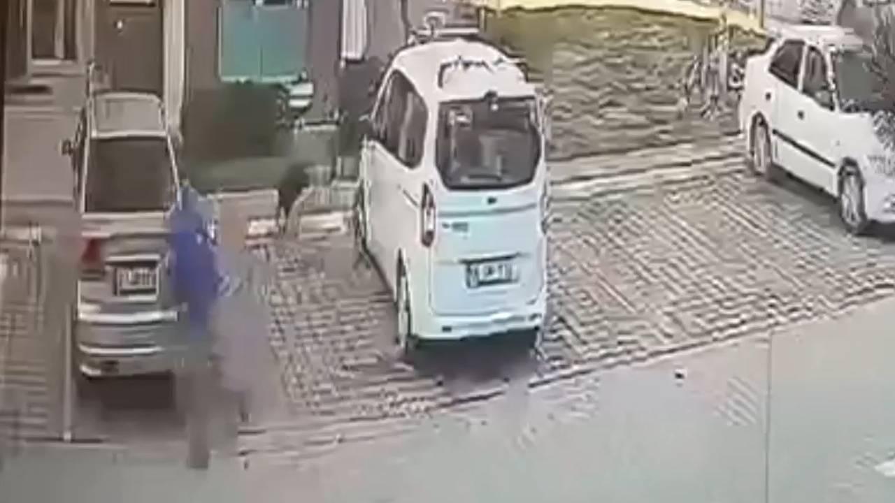 Sahipsiz köpeğin saldırısında yaralanmıştı: Silivri Belediyesi ile İBB’den tazminat kazandı