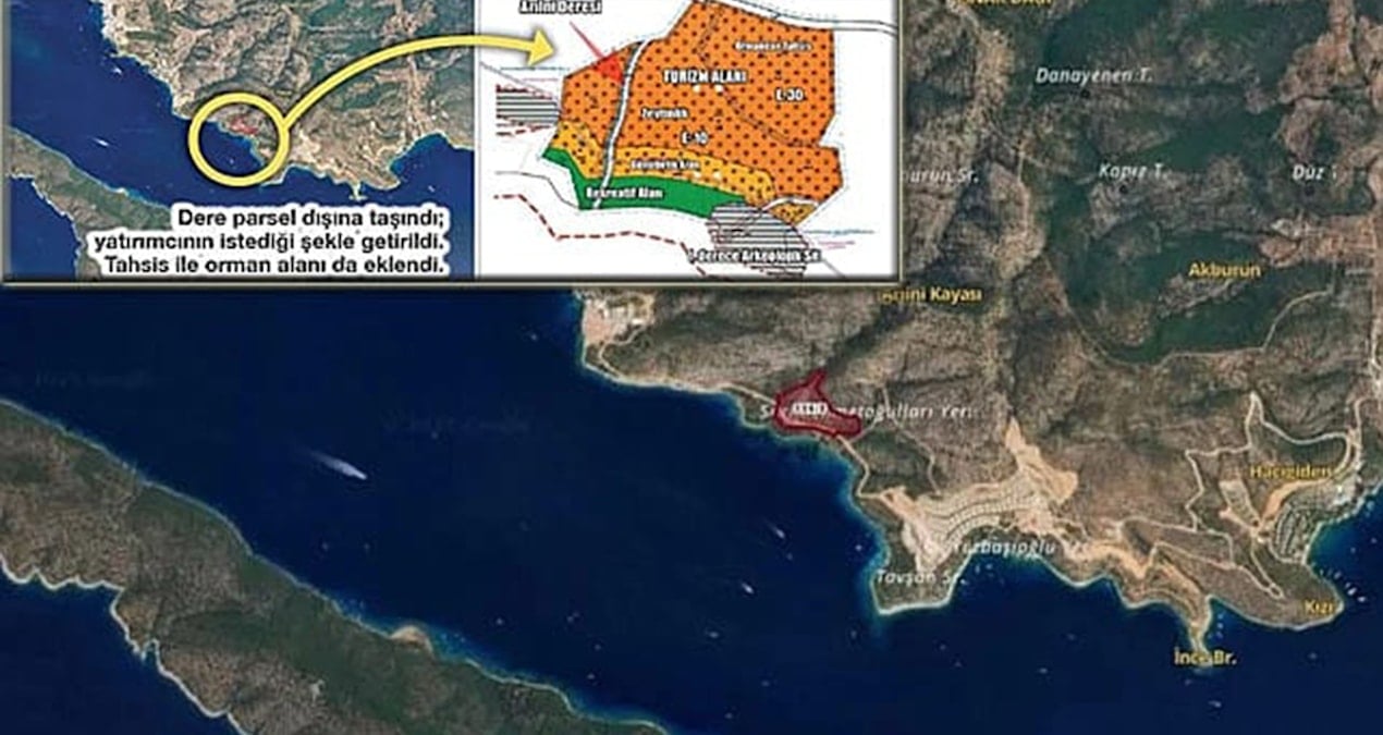 Zeytinlik vurgunu Meclis’in gündeminde