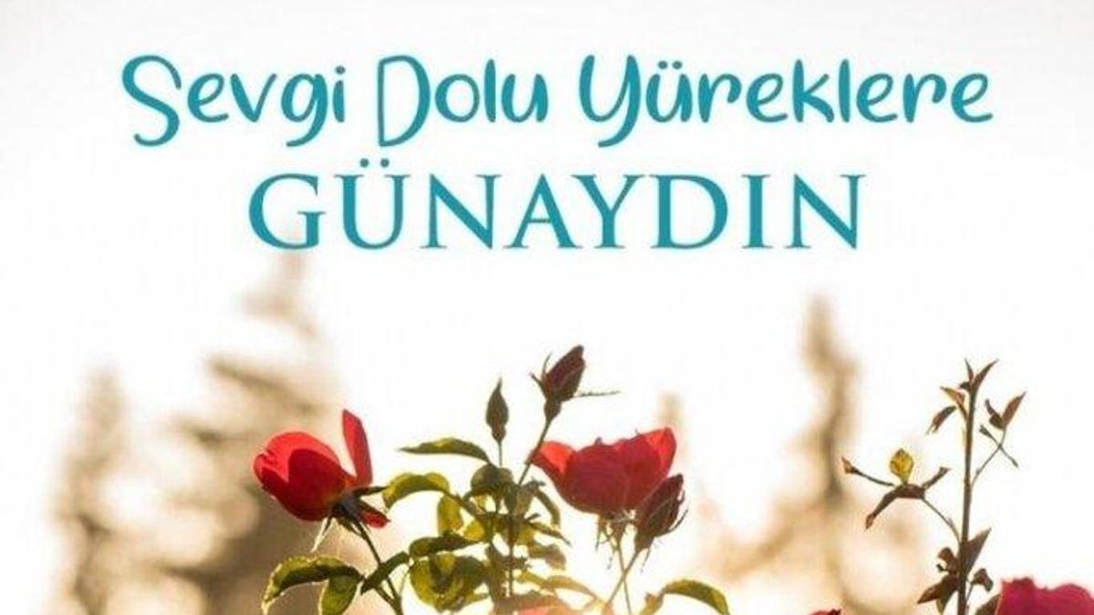 2025 Günaydın Mesajları ve Sözleri: Sevgiliye, Arkadaşa ve Dosta Romantik, Duygusal Günaydın Mesajları