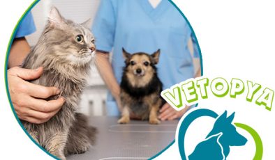 Urla Veteriner Kliniği