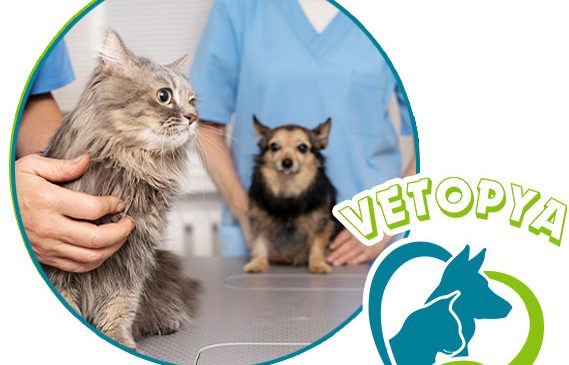 Urla Veteriner Kliniği